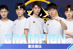 职业精神