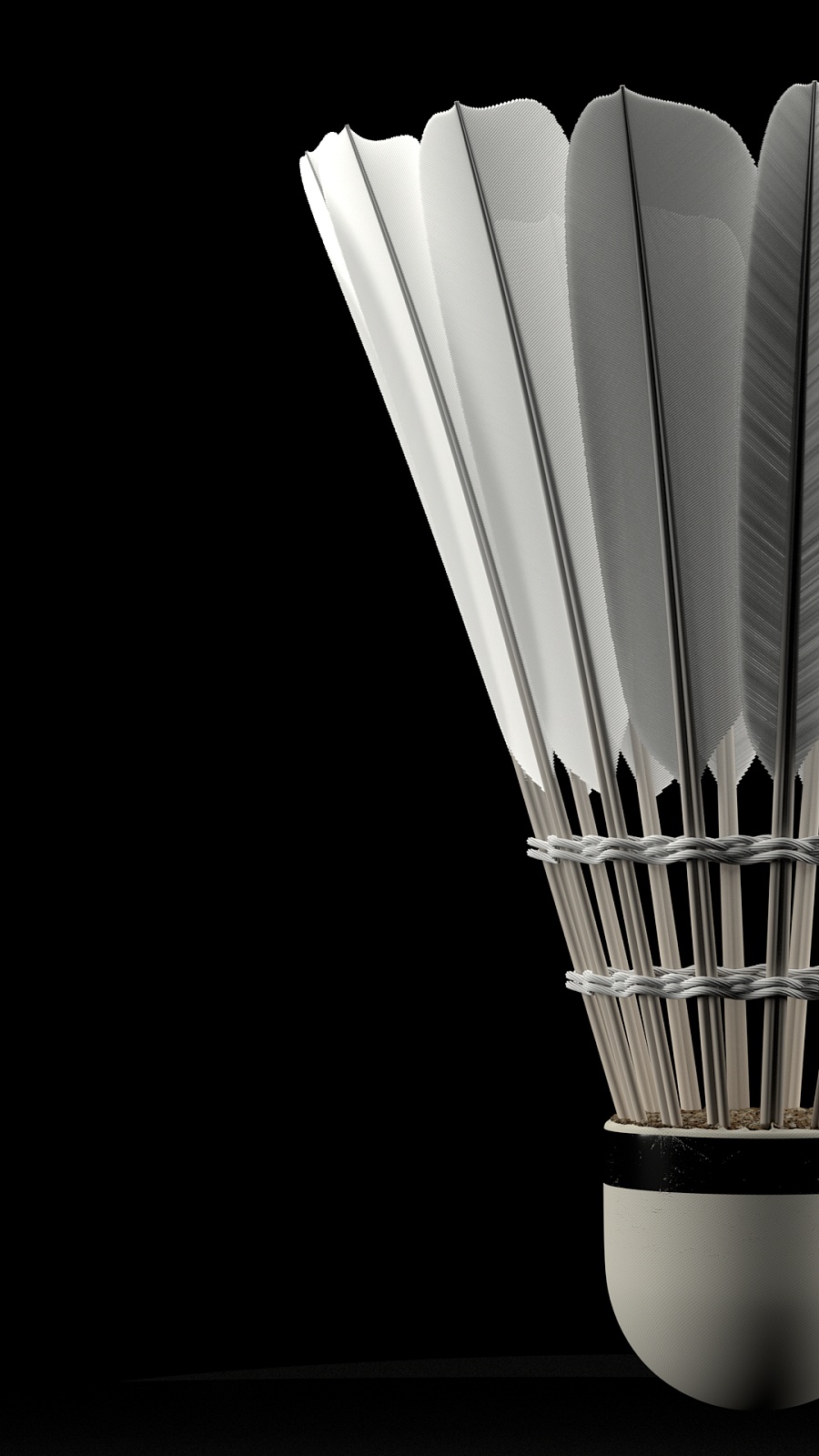 他的个人魅 他的个人魅