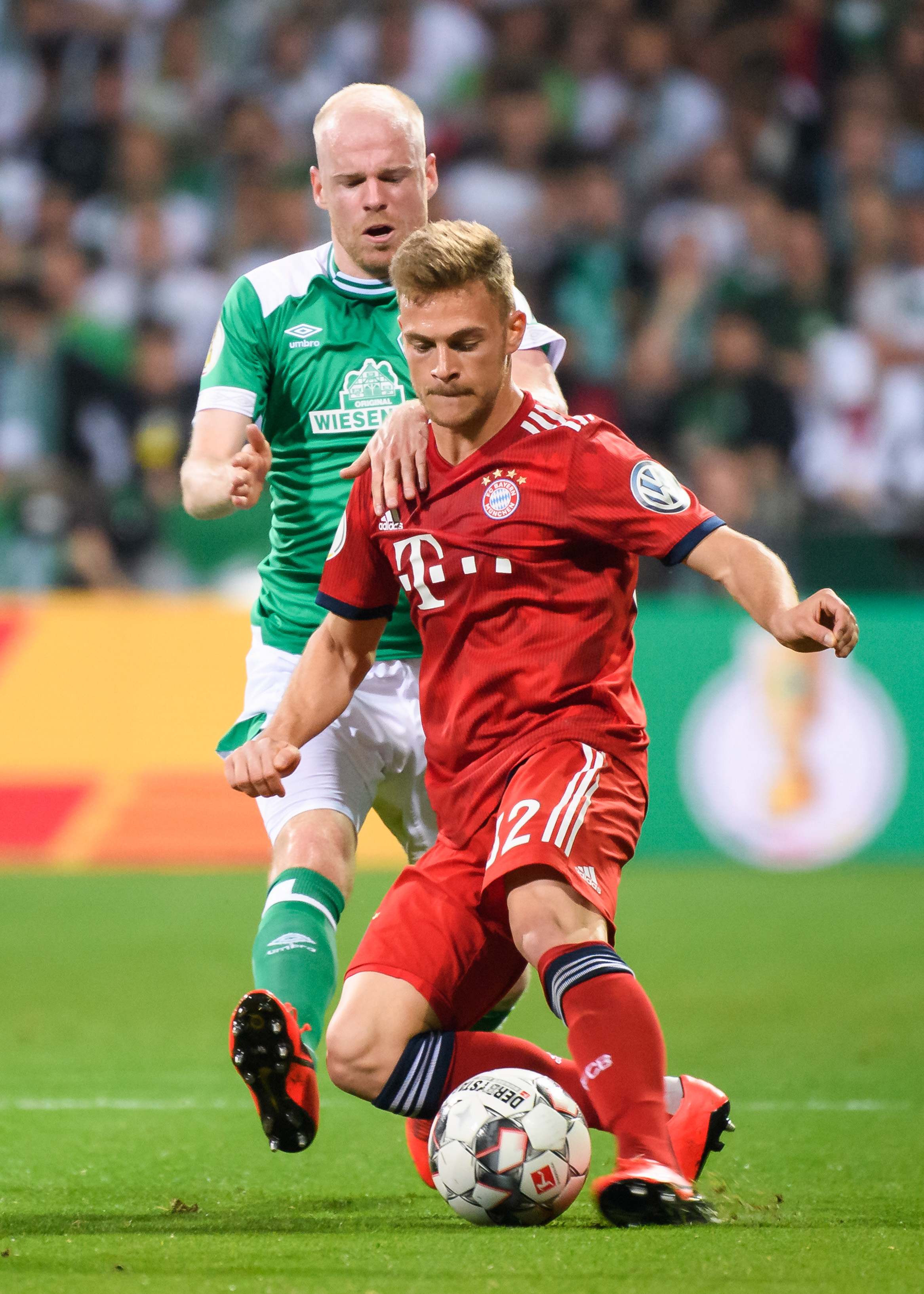 如果你需要 如果你需要